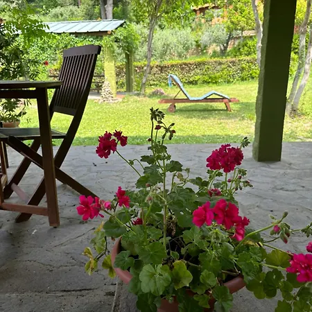 Apartamento Casa